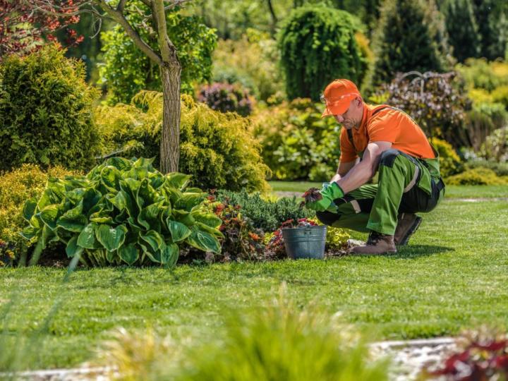 Service d'entretien paysager, Piedmont