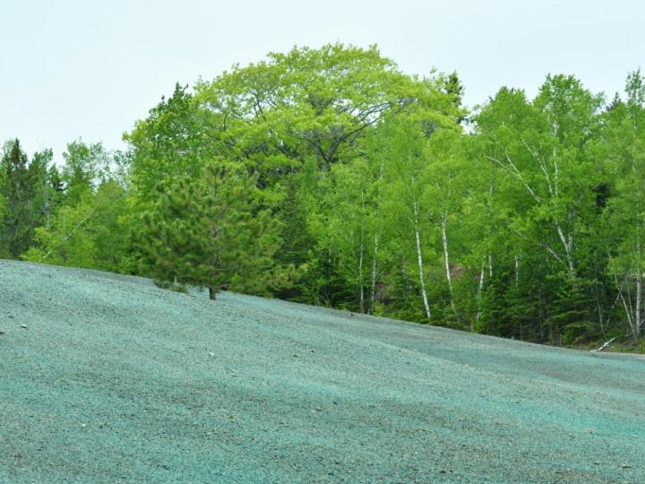 Compagnie d’hydro ensemencement Saint-Sauveur