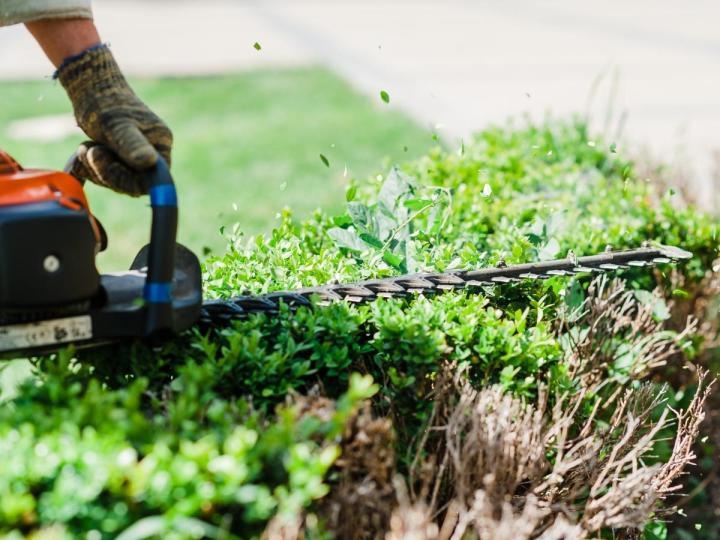Service d'entretien paysager, Estérel